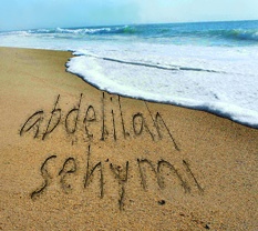 abdelilah sehymi